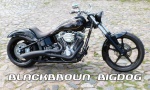 BigDog "blackbrown fat bike"